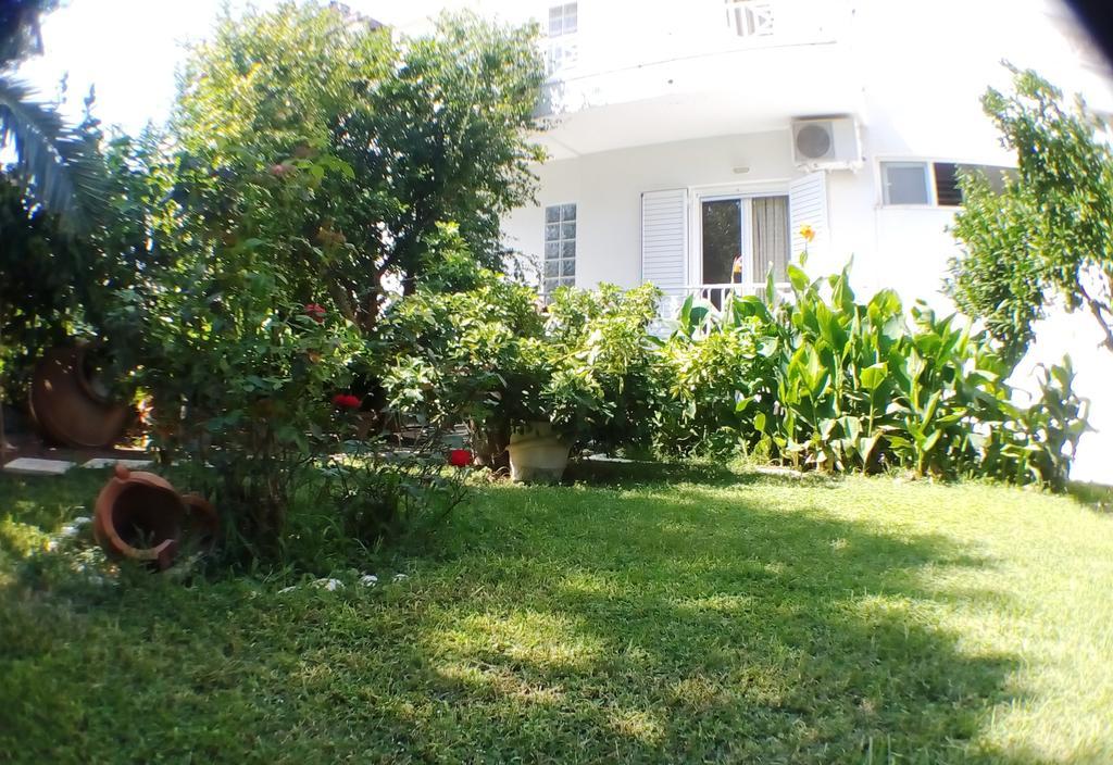 Araliki Apartments & Studios Loutra Edipsou  Zewnętrze zdjęcie